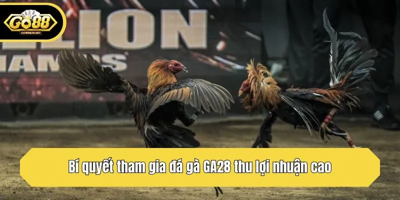 Bí quyết tham gia đá gà GA28 thu lợi nhuận cao